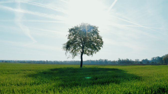 Green Building e Firestop: i prodotti per compartimentazioni antincendio e la certificazione LEED®.