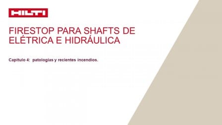 Capitulo 4:  patologias y recientes incendios.